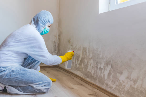 Bathroom Mold Removal assessment in Omena bathroom